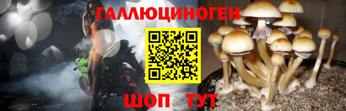 Псилоцибиновые грибы Psilocybe  Псилоцибиновые грибы Psilocybine cubensis  Павловский Посад  где можно купить наркотик  Вход с VPN 
